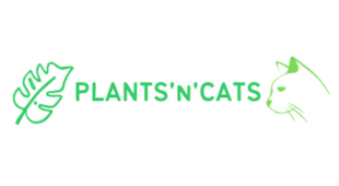 Plants'N'cats: plant guides for cat owners