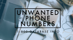 1-800-database.info